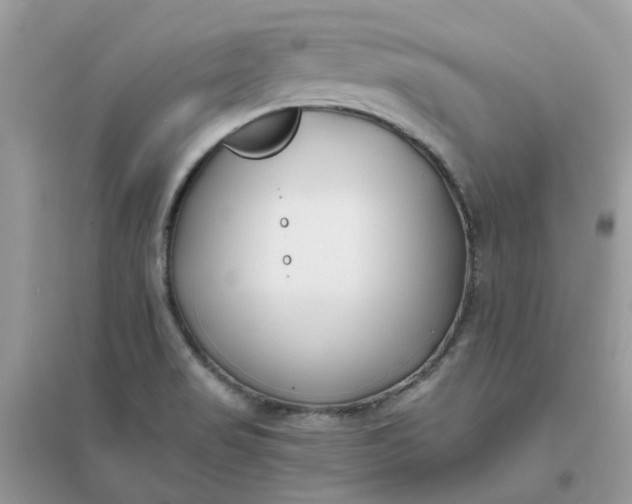 X0000096151517200802011221