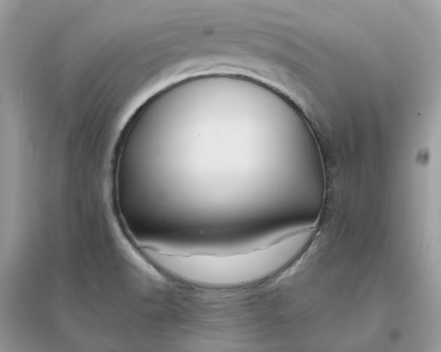 X0000096151518200802011221