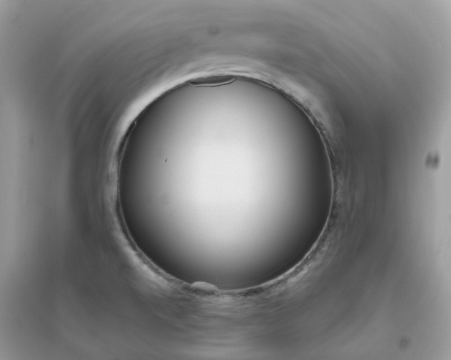 X0000096151520200802011221