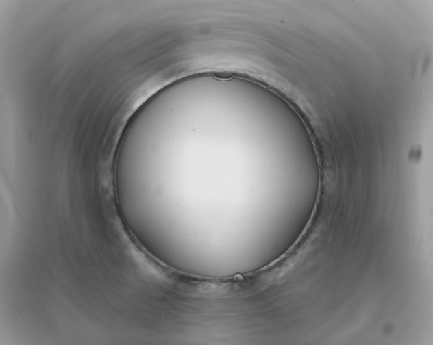 X0000096151521200802011221