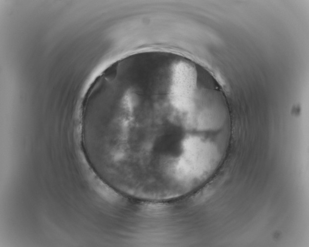 X0000096151522200802011221