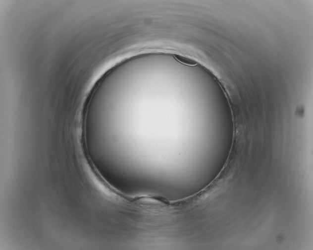 X0000096151523200802011221