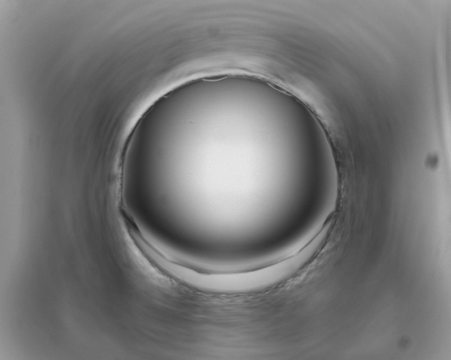 X0000096151524200802011222