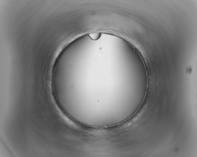 X0000096151525200802011222