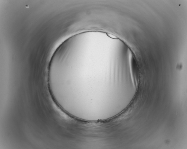 X0000096151527200802011222