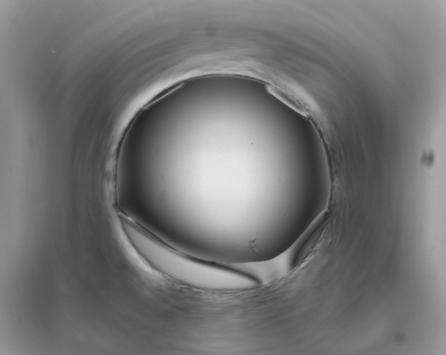 X0000096151528200802011222