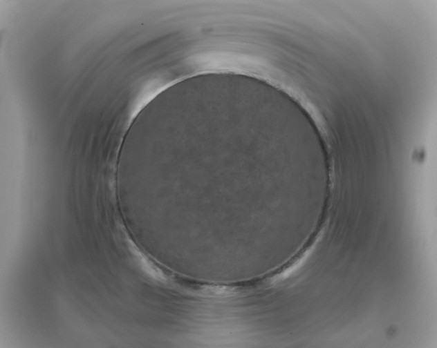 X0000096151529200802011222