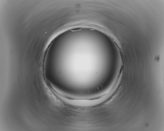 X0000096151530200802011222