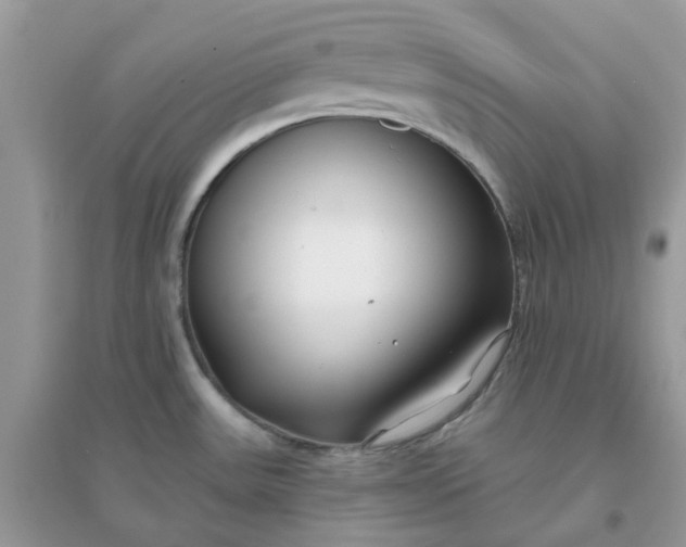 X0000096151531200802011222