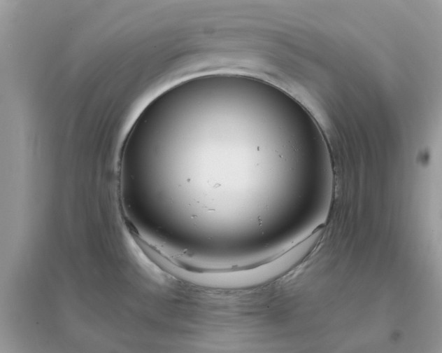 X0000096151532200802011222