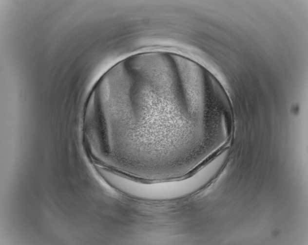 X0000096151533200802011222