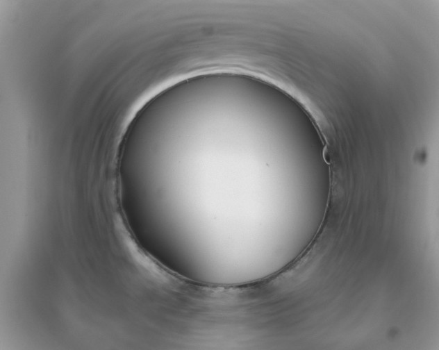 X0000096151534200802011222