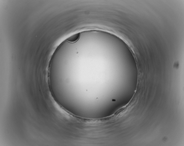X0000096151535200802011222