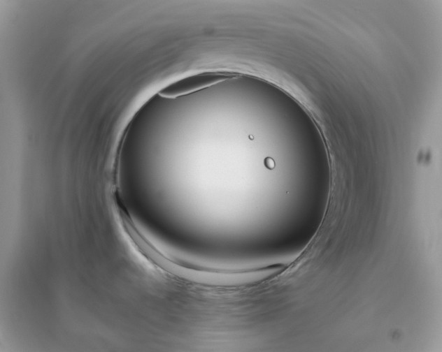 X0000096151536200802011222