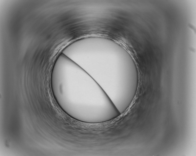 X0000096150001200802081422