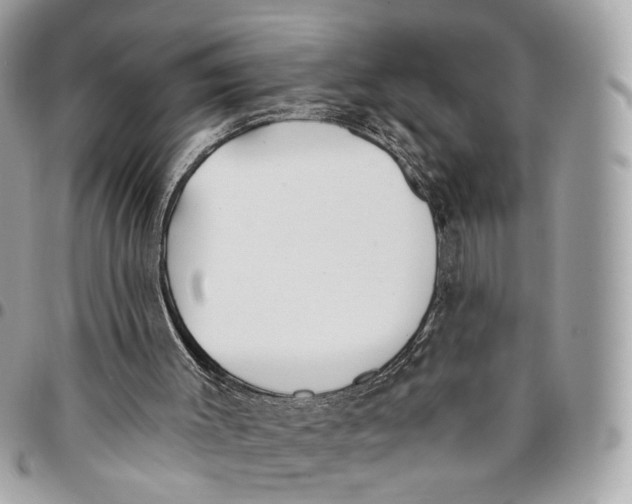 X0000096150003200802081422