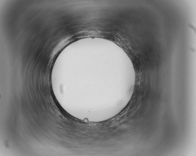 X0000096150004200802081422