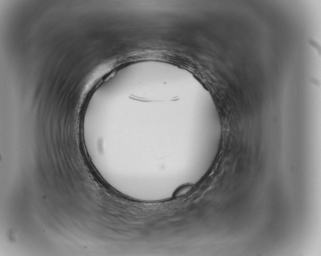 X0000096150006200802081422