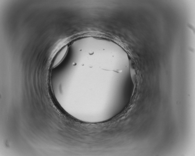 X0000096150007200802081422