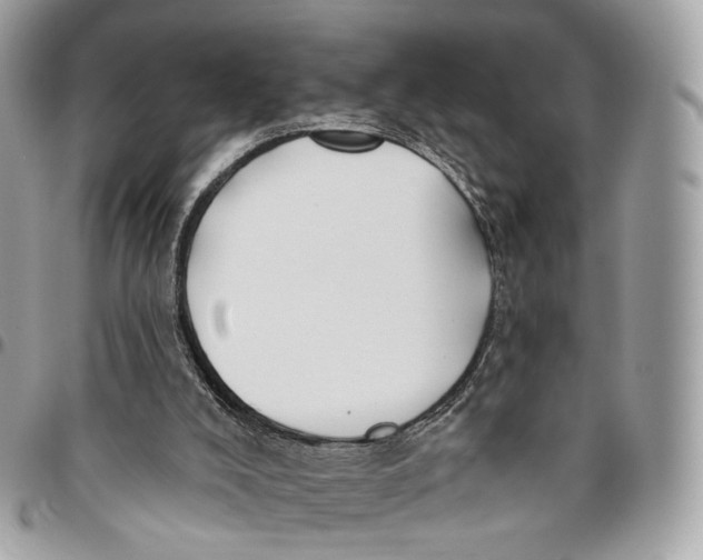 X0000096150008200802081422