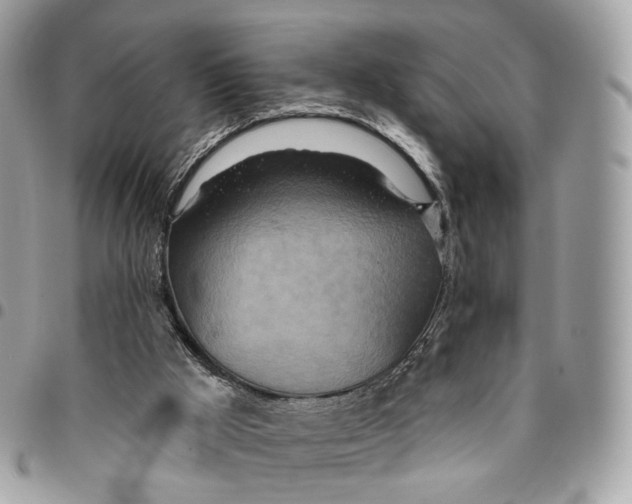 X0000096150009200802081422