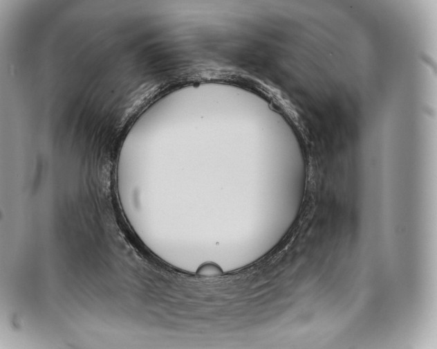 X0000096150010200802081422