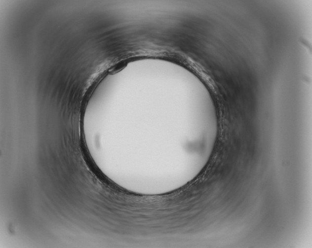 X0000096150011200802081422