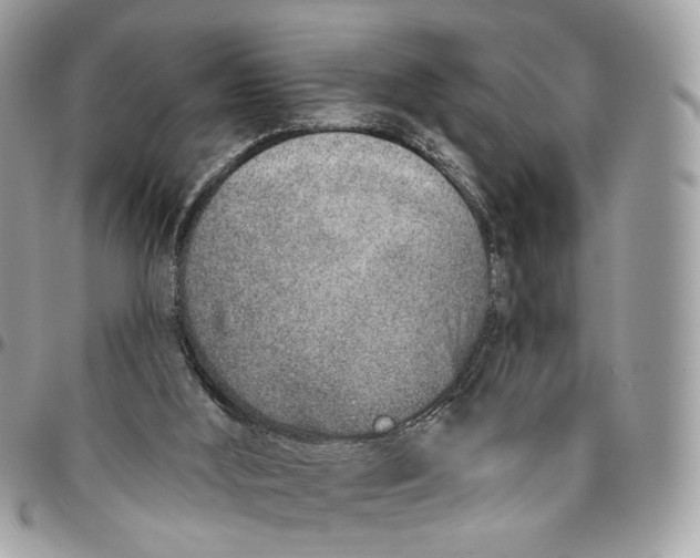 X0000096150012200802081422