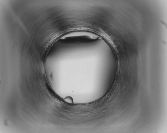 X0000096150013200802081422