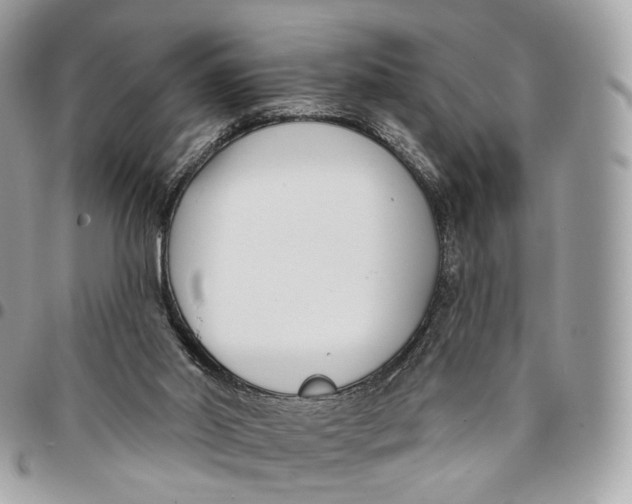 X0000096150014200802081422