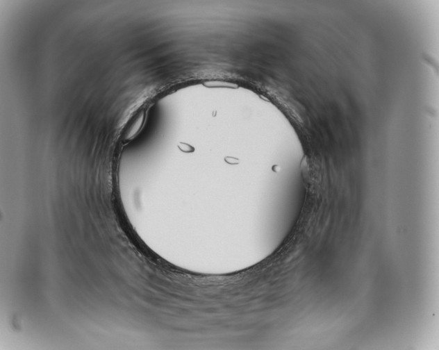 X0000096150015200802081422