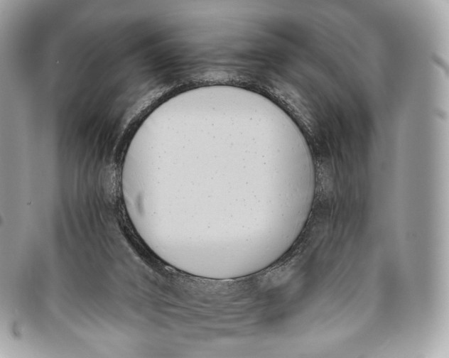 X0000096150016200802081422