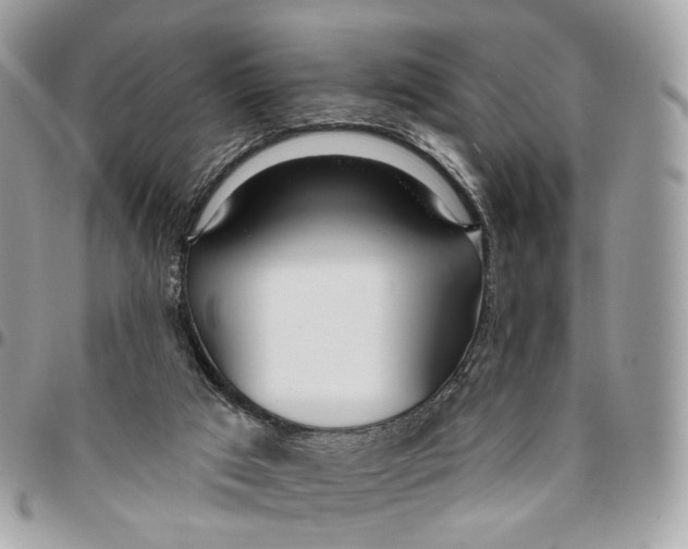 X0000096150017200802081422