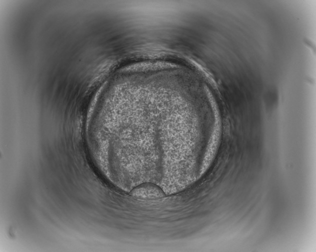 X0000096150018200802081422