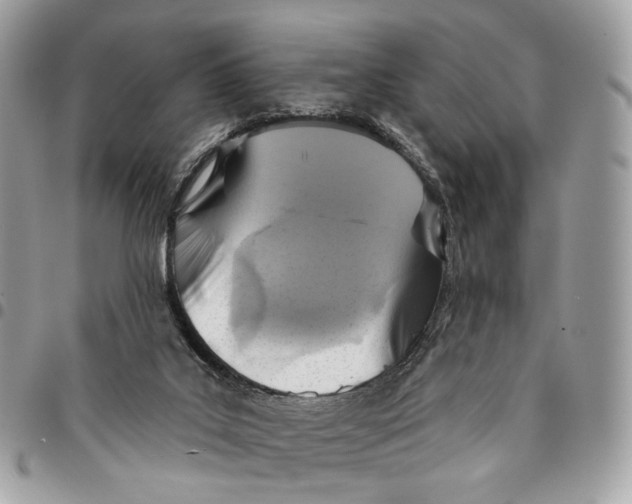 X0000096150019200802081422