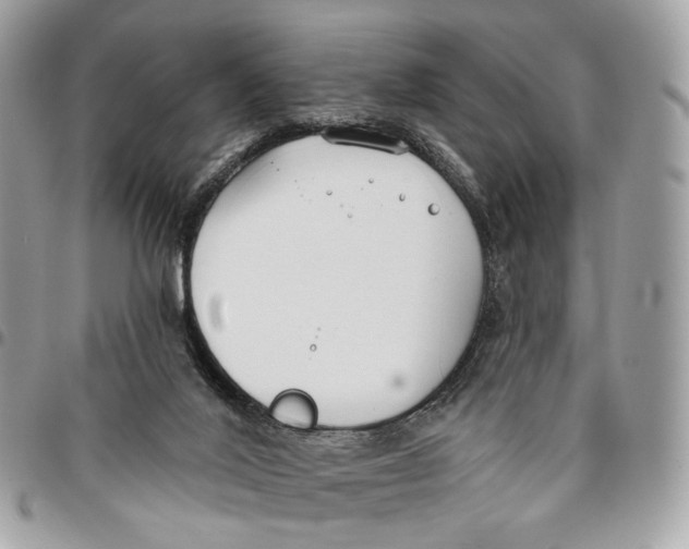 X0000096150020200802081422