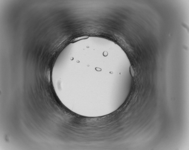 X0000096150021200802081422