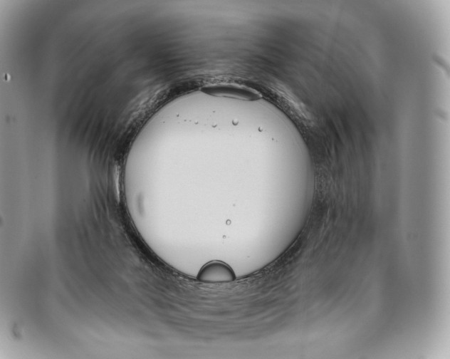 X0000096150022200802081422