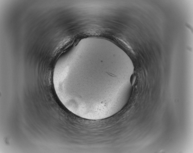 X0000096150023200802081422