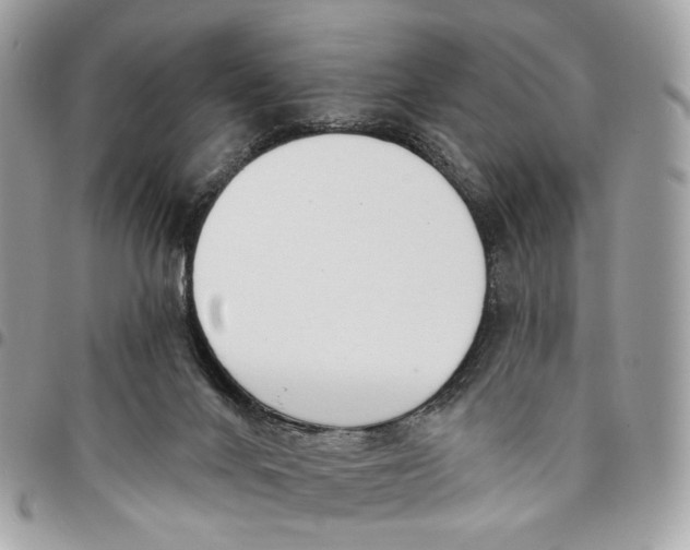 X0000096150024200802081422