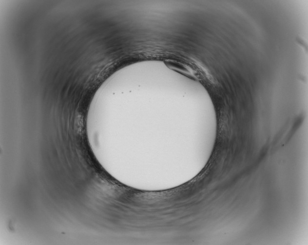 X0000096150025200802081422