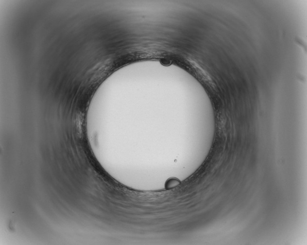 X0000096150026200802081422