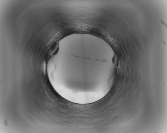 X0000096150027200802081422