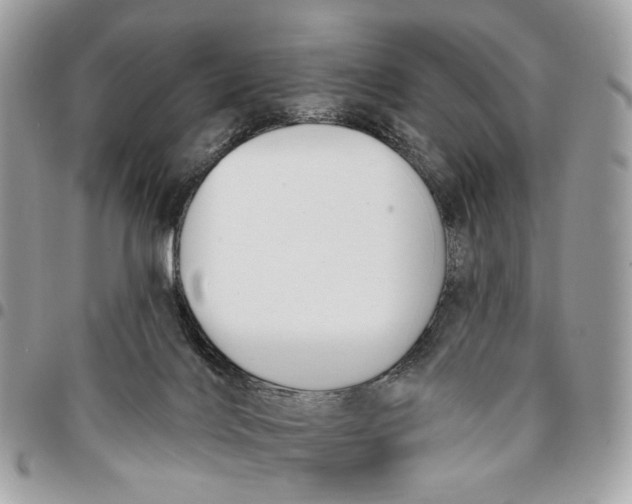 X0000096150028200802081422