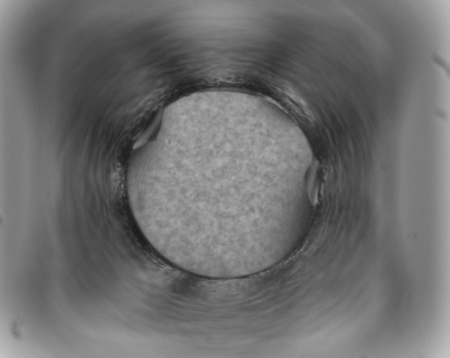 X0000096150029200802081422