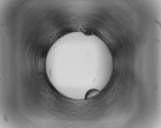 X0000096150030200802081422