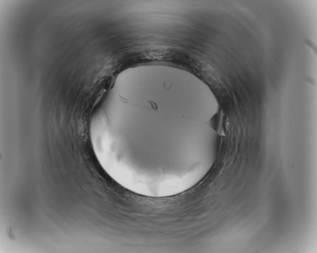 X0000096150031200802081422