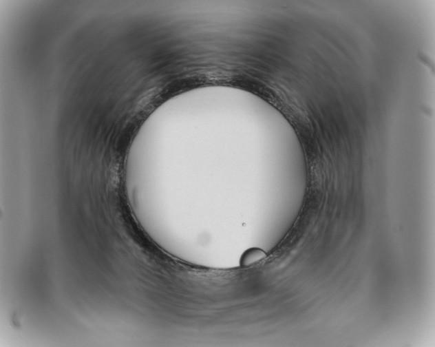 X0000096150032200802081422