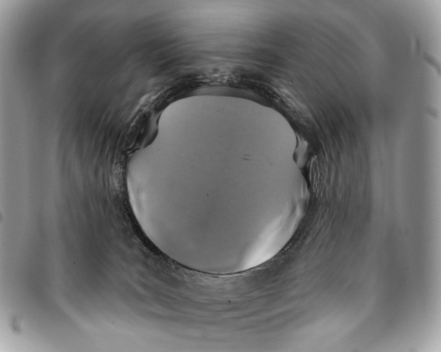 X0000096150035200802081422