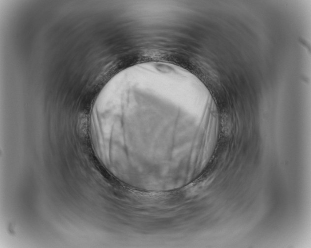 X0000096150036200802081422